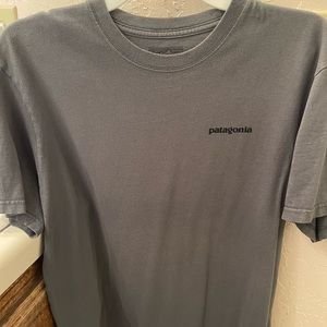 Patagonia t-shirt, grey, no holes or stained. Gently worn condition.